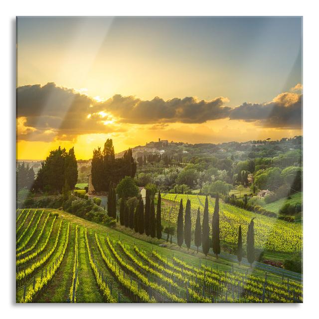 Picturesque Vineyards In Tuscany - No Frame Print on Glass Union Rustic Size: 80cm H x 80cm W x 0.4cm D on Productcaster.