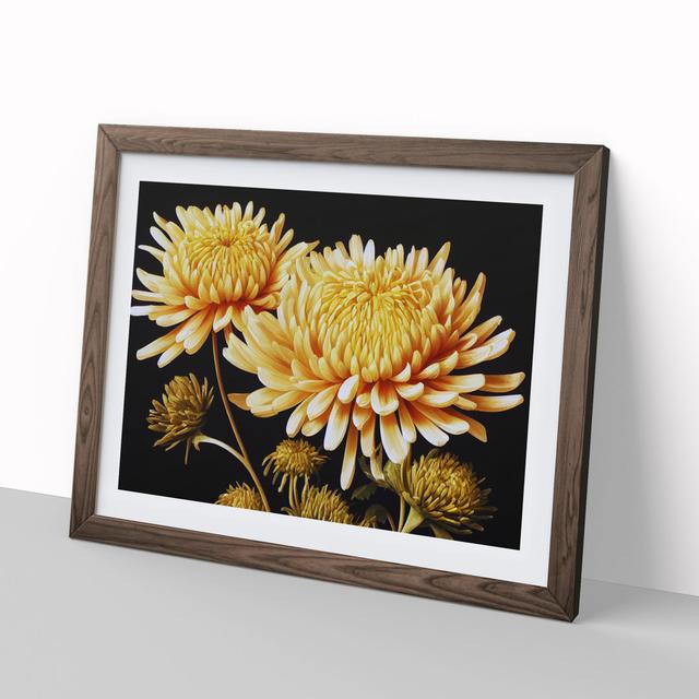 Astonishing Chrysanthemum Flowers - Picture Frame Graphic Art Marlow Home Co. Size: 34cm H x 46cm W, Frame Colour: Brown on Productcaster.