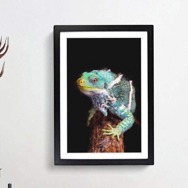 Fiji Iguana - Picture Frame Painting Print East Urban Home Frame Option: Black Framed, Size: 63cm H x 45cm W x 2cm D on Productcaster.