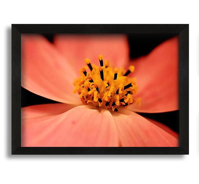 Orange Petal Beauty - Picture Frame Graphic Art on Canvas Brayden Studio Size: 42cm H x 60cm W x 10cm D on Productcaster.