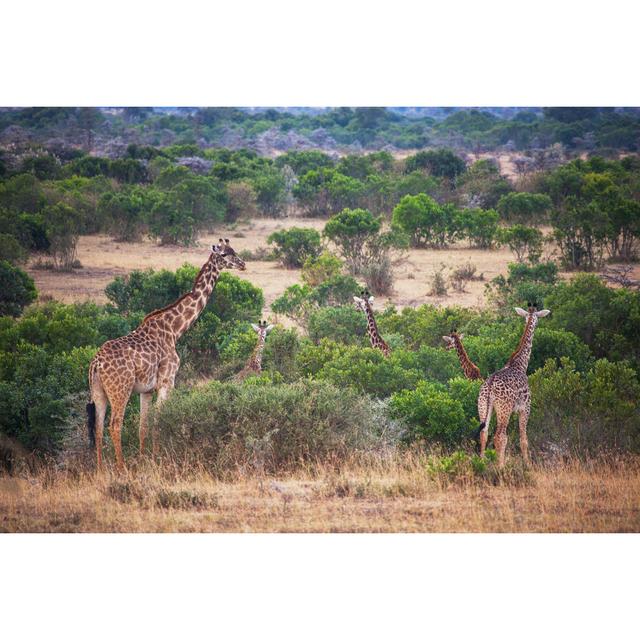 Giraffe - Wrapped Canvas Print Latitude Run Size: 81cm H x 122cm W x 3.8cm D on Productcaster.