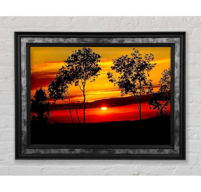 Red Sunrise Through The Trees Framed Print Bright Star Size: 59.7cm H x 84.1cm W on Productcaster.