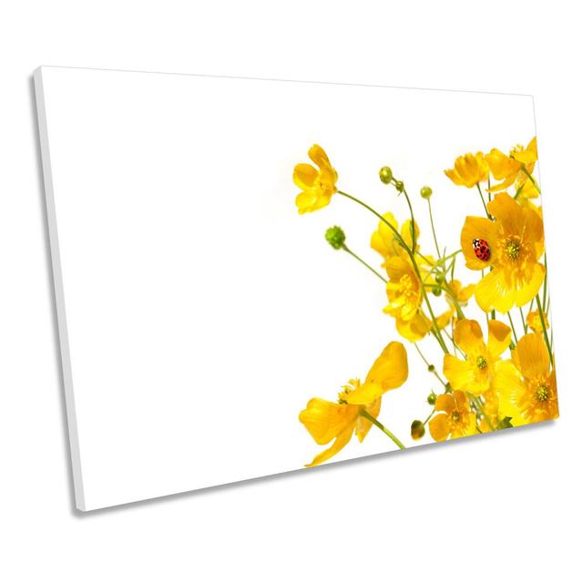 Buttercups Floral Flowers CANVAS WALL ART Framed Print Ebern Designs Size: 30.5cm H x 45.7cm W on Productcaster.