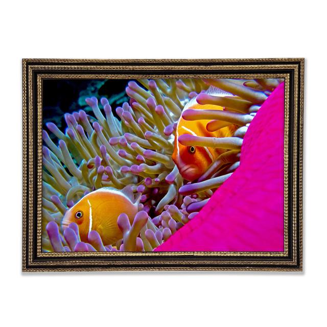 Ocean Sea Underwater Framed Print Highland Dunes Size: 84.1cm H x 118.9cm W x 3cm D on Productcaster.