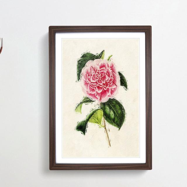 Illustration of a Pink Japanese Camellia - Picture Frame Painting Print East Urban Home Size: 36cm H x 27cm W x 2cm D, Frame Option: Walnut Framed on Productcaster.