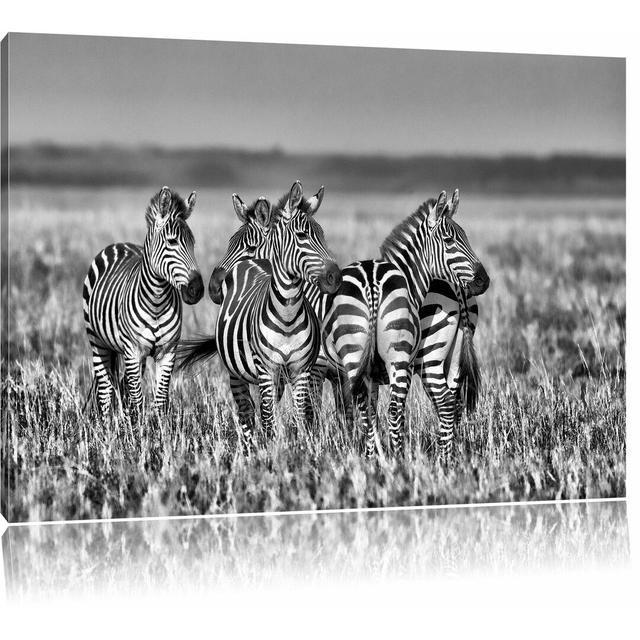 Leinwandbild Kleine Zebrahorde in Monochrom East Urban Home Größe: 80 cm H x 120 cm B on Productcaster.