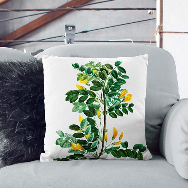 Siberian Pea Tree Flowers by Pierre-Joseph Redoute Cushion with Filling East Urban Home Size: 40cm H x 40cm W x 15cm D, Backing Colour: Stone on Productcaster.