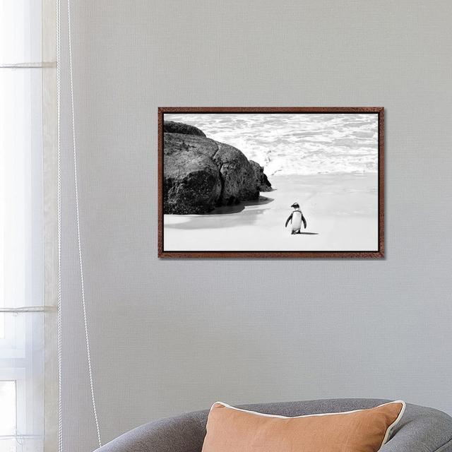 Penguin at Boulders Beach Highland Dunes Format: Classic Wood Framed, Size: 45.72cm H x 66.04cm W on Productcaster.