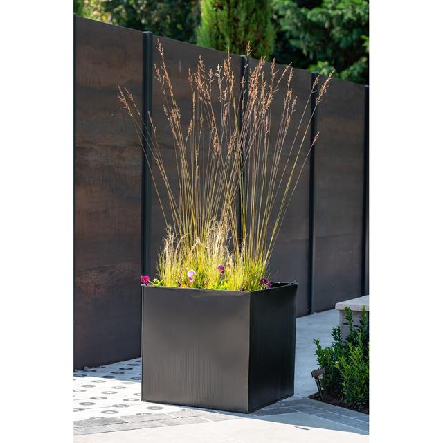 Hatsu Mode Cubis Planter Dakota Fields Size: 32.5cm H x 32.5cm W x 32.5cm D on Productcaster.