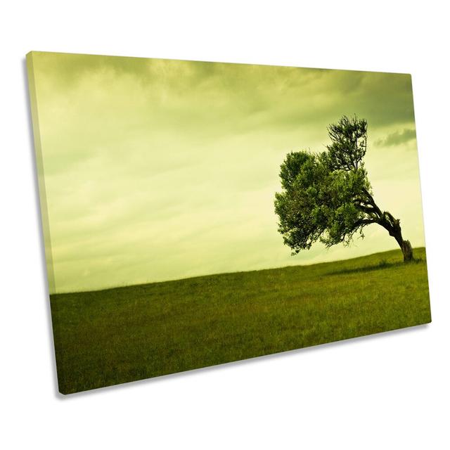 Windy Green Landscape Tree - Wrapped Canvas Print Rosalind Wheeler Size: 50.8cm H x 76.2cm W x 2cm D on Productcaster.