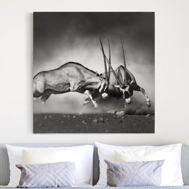 Wild Fighting - Wrapped Canvas Graphic Art Ebern Designs on Productcaster.