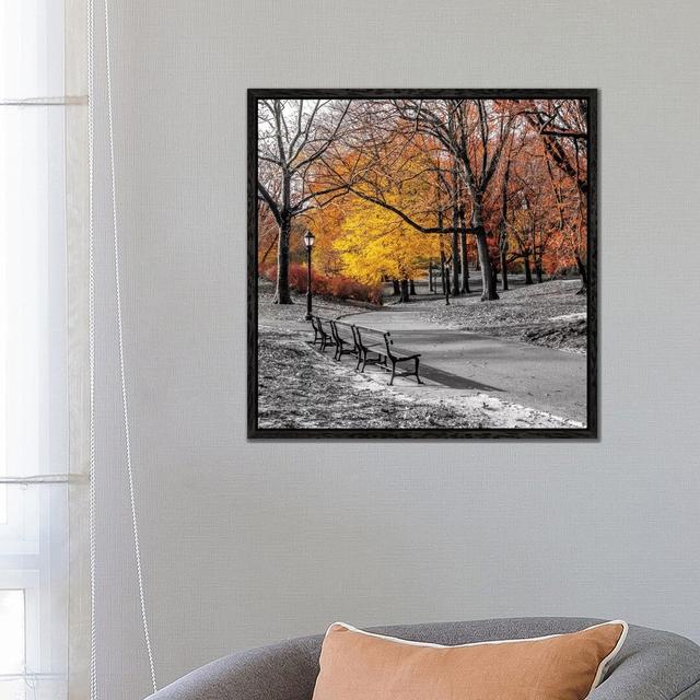 Park Pretty I by Assaf Frank - Photograph Print on Canvas 17 Stories Size: 66.04cm H x 66.04cm W x 3.81cm D, Format: Black Framed Canvas on Productcaster.