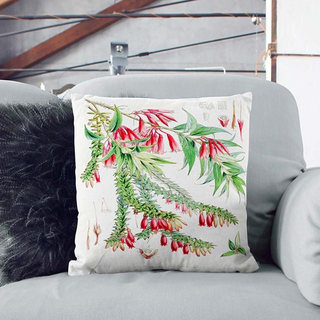 Himalayan Plants XV by W. H. Fitch Cushion with Filling East Urban Home Size: 55cm H x 55cm W x 20cm D, Backing Colour: Black on Productcaster.