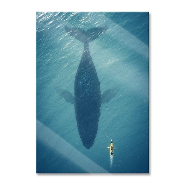 Huge Whale Shadow - Unframed Photograph on Glass Longshore Tides Size: 100cm H x 70cm W x 0.4cm D on Productcaster.