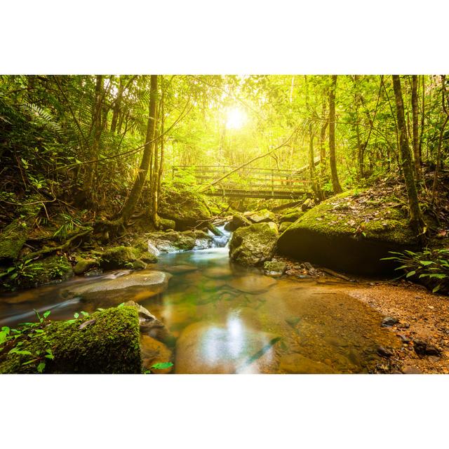 Stream In The Jungle At Sunrise by Zodebala - Wrapped Canvas Print Alpen Home Size: 51cm H x 76cm W on Productcaster.