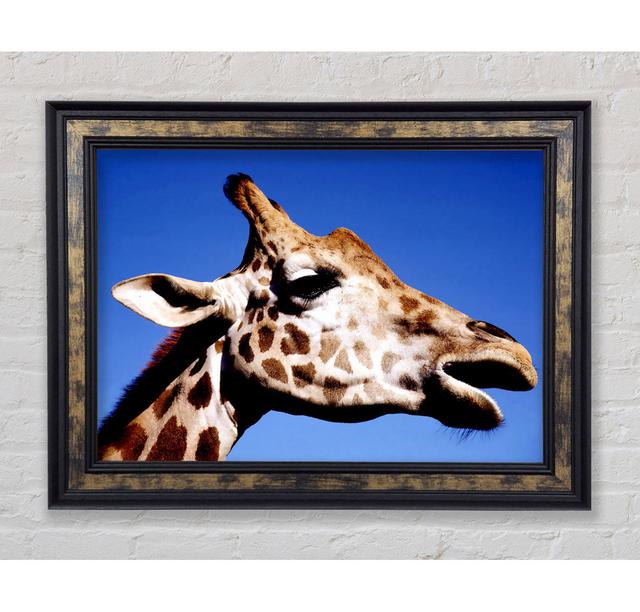 Giraffe Head - Single Picture Frame Art Prints Bright Star Size: 42cm H x 59.7cm W on Productcaster.