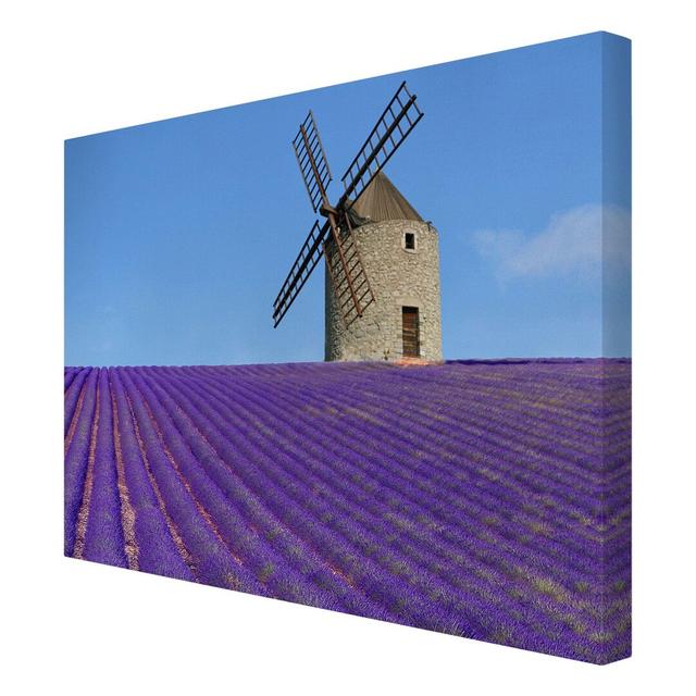 Scent of Lavender Photographic Print on Canvas East Urban Home Size: 80cm L x 60cm W on Productcaster.