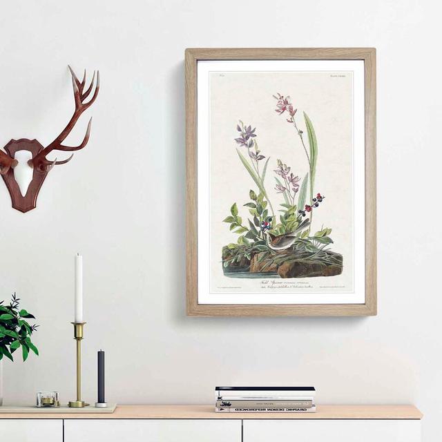 Field Sparrow by John Audubon - Picture Frame Graphic Art Print East Urban Home Size: 36cm H x 27cm W x 2cm D, Frame Option: Oak Framed on Productcaster.