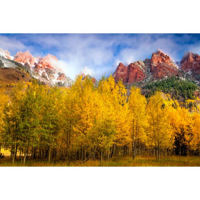 Golden Aspens by Andrewsoundarajan - Wrapped Canvas Photograph Alpen Home Size: 51cm H x 76cm W on Productcaster.