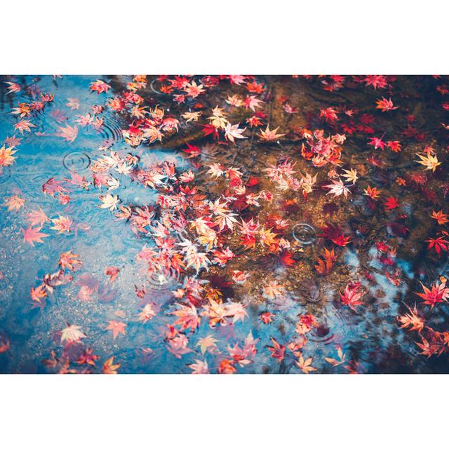 Red Maple Leaves by Borchee - Wrapped Canvas Print 17 Stories Size: 61cm H x 91cm W on Productcaster.