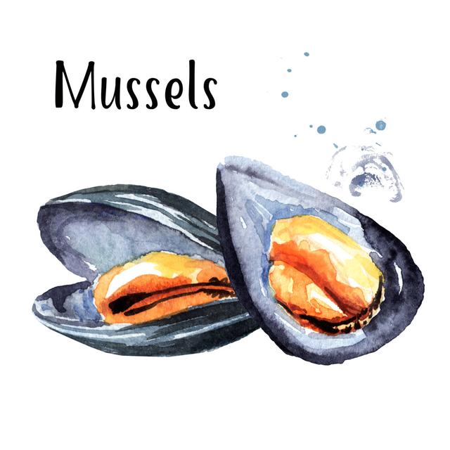 Neva Mussels, Seafood - Wrapped Canvas Graphic Art House of Hampton Size: 122cm H x 122cm W x 3.8cm D on Productcaster.