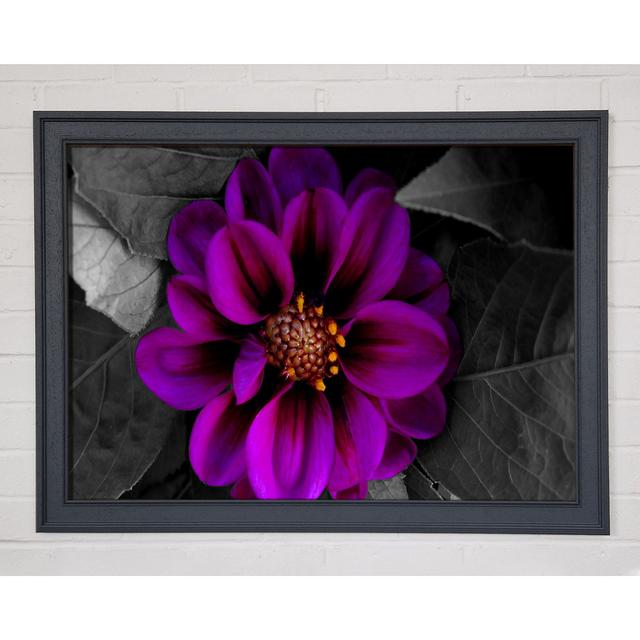 Single Picture Frame Art Prints Ebern Designs Size: 29.7cm H x 42cm W on Productcaster.