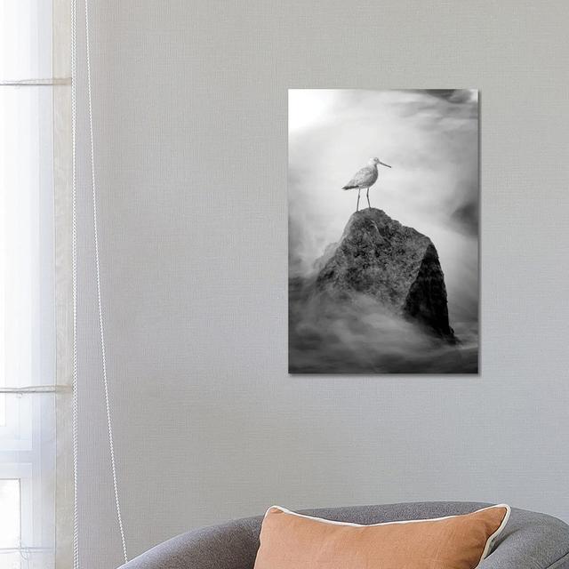 Sand Piper On The Rock Fine Art House of Hampton Size: 66.04cm H x 45.72cm W x 3.81cm D on Productcaster.