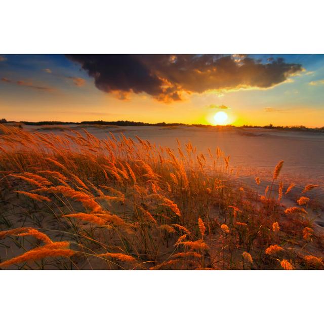 Willowdale Steppe Sunset by Yuriy_Kulik - Wrapped Canvas Photograph Latitude Run Size: 30cm H x 46cm W x 3.8cm D on Productcaster.