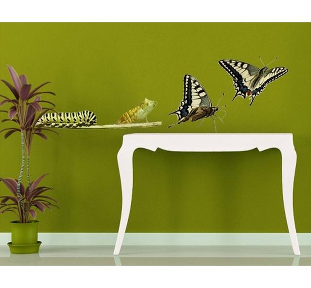 Butterfly Metamorphosis Wall Sticker East Urban Home Size: 60cm H x 200cm W on Productcaster.