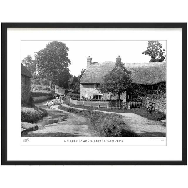 'Melbury Osmond, Bridge Farm C1955' by Francis Frith - Picture Frame Photograph Print on Paper The Francis Frith Collection Size: 60cm H x 80cm W x 2. on Productcaster.