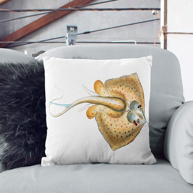 Common Stingray by Edward Donovan Cushion with Filling East Urban Home Size: 55cm H x 55cm W x 20cm D, Backing Colour: Stone on Productcaster.