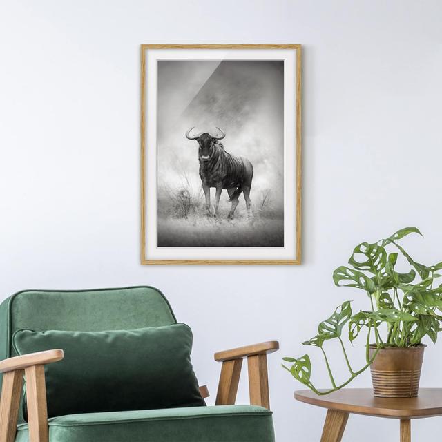 Gerahmtes Poster Gazing wildebeest East Urban Home Rahmenoptionen: Naturbelassenes Eiche, Größe: 55 cm H x 40 cm B x 2 cm T on Productcaster.