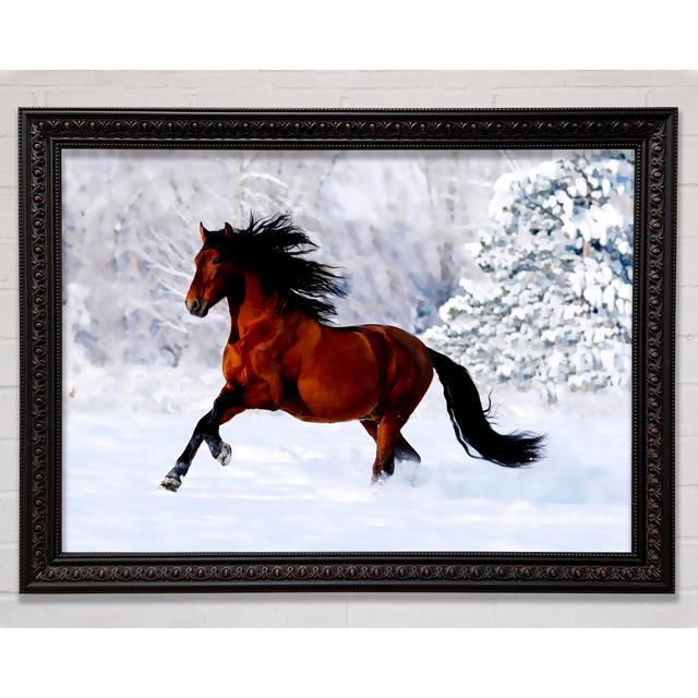 Wild Horse In The Snow Framed Print Bright Star Size: 21cm H x 29.7cm W on Productcaster.