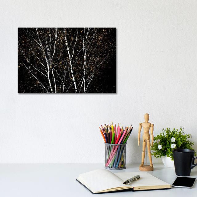 Birch Trees IV by Mareike Böhmer - Wrapped Canvas Print Rosalind Wheeler Size: 20.32cm H x 30.48cm W x 1.91cm D on Productcaster.