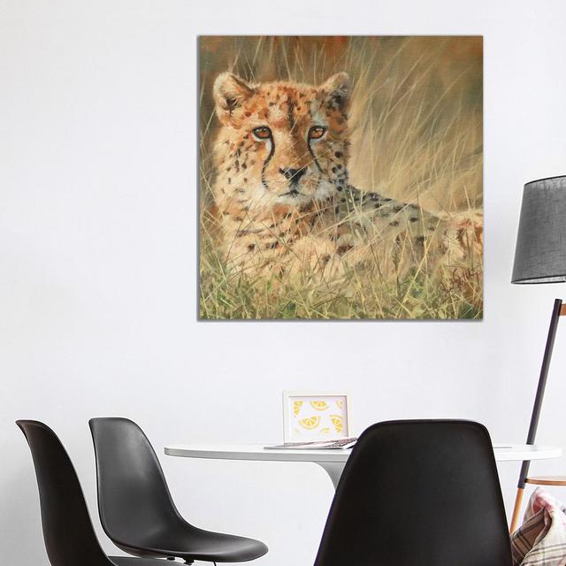 Cheetah Laying In Long Grass by David Stribbling - Wrapped Canvas Painting Latitude Vive Size: 93.98cm H x 93.98cm W x 3.81cm D on Productcaster.