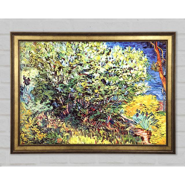 Van Gogh The Bush - Single Picture Frame Art Prints Marlow Home Co. Size: 29.7cm H x 42cm W x 1.5cm D on Productcaster.