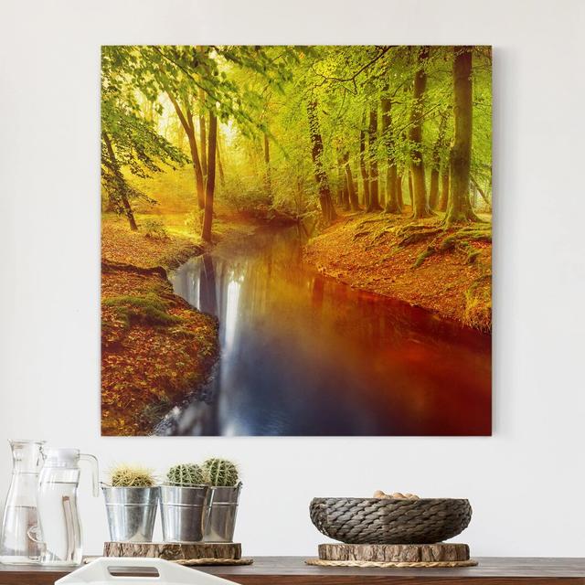 Autumn Forest - Wrapped Canvas Photograph Union Rustic on Productcaster.