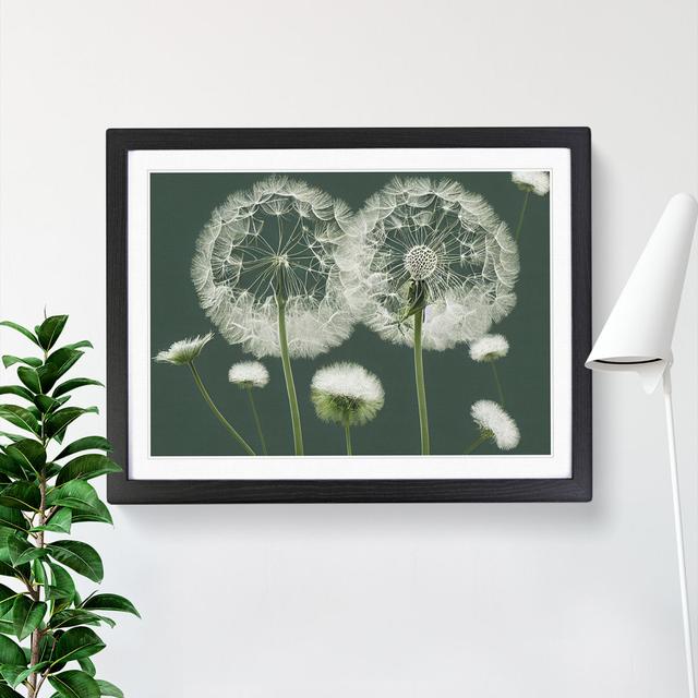 Blooming Dandelion Flowers - Picture Frame Graphic Art Latitude Run Frame Option: Oak, Size: 46cm H x 64cm W x 2cm D on Productcaster.