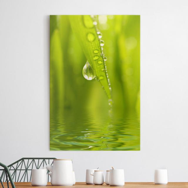 Leinwandbild Morning Dew Ebern Designs Format: 260 g/m² Canvas, Größe: 60 cm H x 40 cm B on Productcaster.