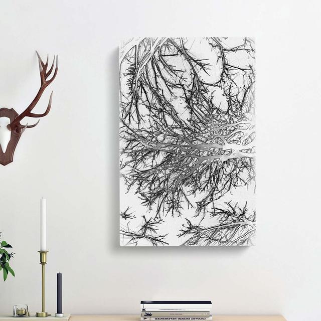 Tree Branches In Central Park New York In Abstract - Wrapped Canvas Print East Urban Home Size: 50cm H x 35cm W x 3cm D on Productcaster.