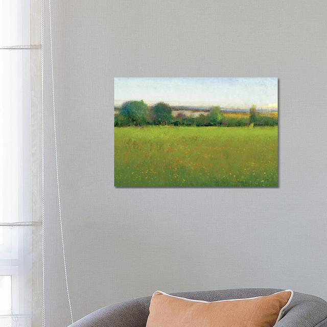 Verdant Countryside II by Tim OToole - Wrapped Canvas Painting ClassicLiving Size: 45.72cm H x 66.04cm W x 1.905cm D on Productcaster.