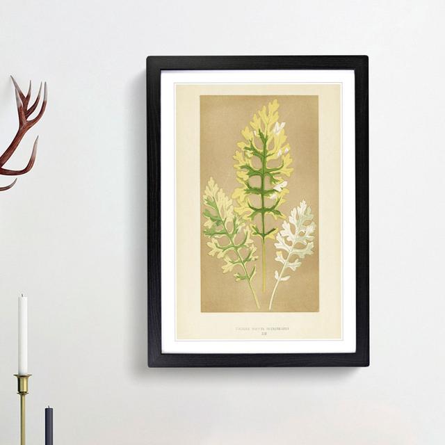 Leaf Illustration by Benjamin Fawcett - Picture Frame Painting Print East Urban Home Frame Option: Black Framed, Size: 87cm H x 62cm W x 2cm D on Productcaster.