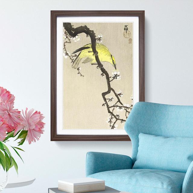 Chinese Oriole Bird on a Plum Blossom by Ohara Koson - Picture Frame Painting Print East Urban Home Size: 65cm H x 48cm W x 2cm D, Frame Option: Walnu on Productcaster.