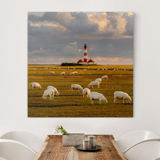 Leinwandbild Nordsee Leuchtturm mit Schafsherde Sommerallee Größe: 70 cm H x 70cm B, Format: 260 g/m² Canvas on Productcaster.