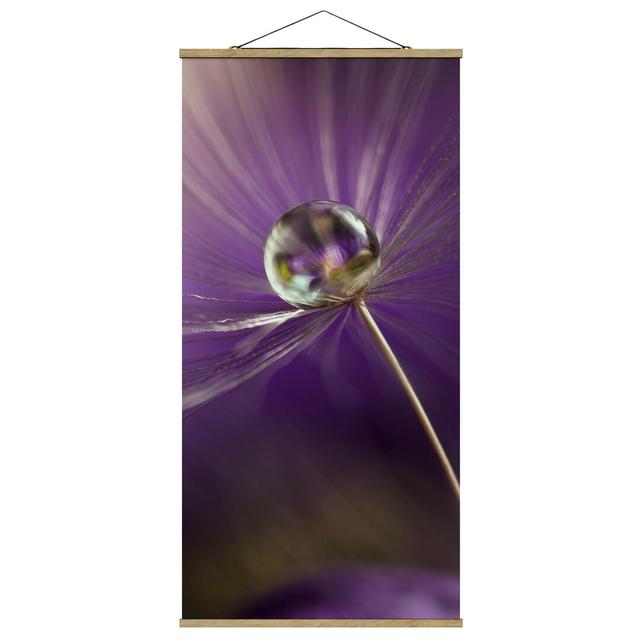 Dandelion in Purple - Unframed Photograph Ebern Designs Size: 100cm H x 50cm W x 0.3cm D on Productcaster.