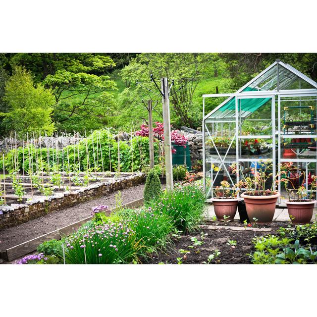 Vegetable Garden - Wrapped Canvas Photograph Ebern Designs Size: 30cm H x 46cm W on Productcaster.