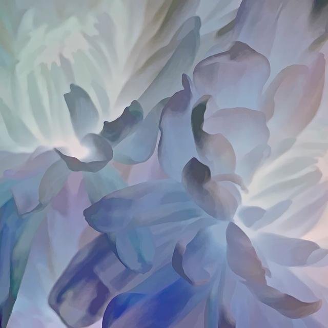 Abstract Floral - Wrapped Canvas Print Rosalind Wheeler Size: 51cm H x 51cm W on Productcaster.