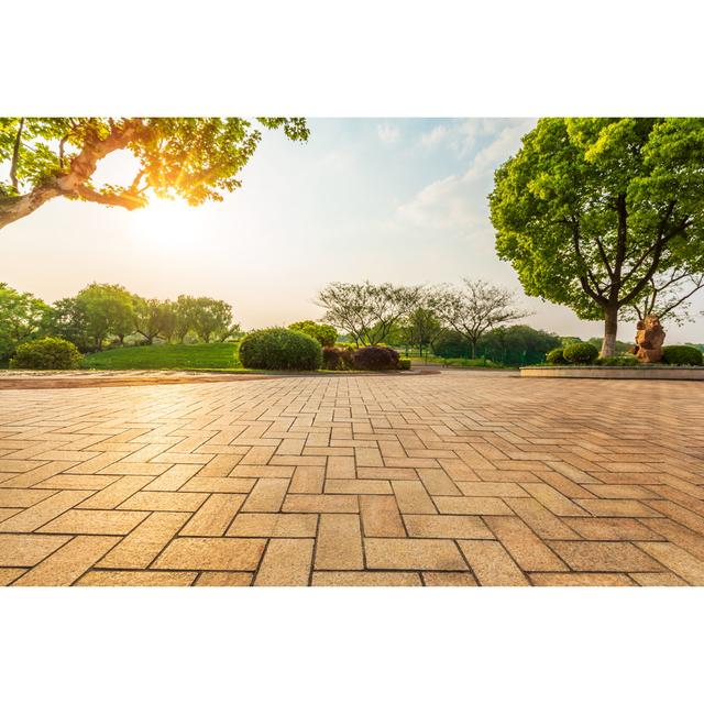 Empty Floor and Green Forest by Unknown - Wrapped Canvas Photograph 17 Stories Size: 30cm H x 46cm W on Productcaster.