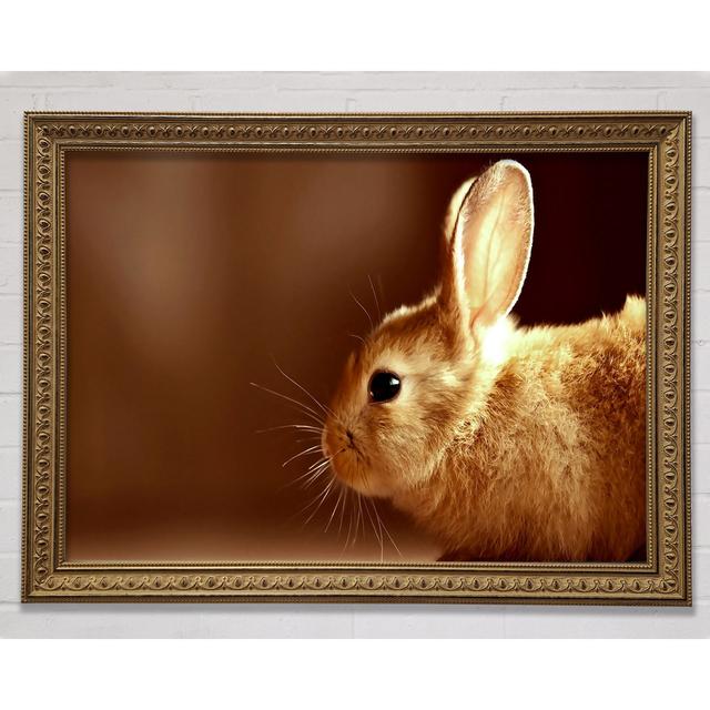 Bunny Whiskers - Single Picture Frame Art Prints Ebern Designs Size: 100cm H x 141.4cm W on Productcaster.