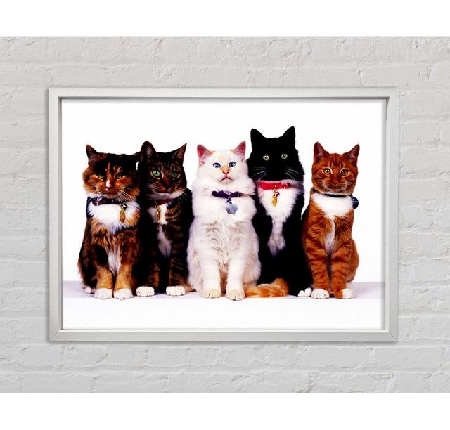 Family Of Cats Framed Print Ebern Designs Size: 59.7cm H x 84.1cm W on Productcaster.